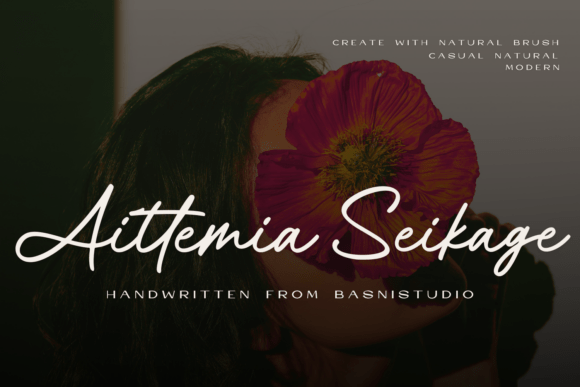 Aittemia Seikage Font for Modern Web Design