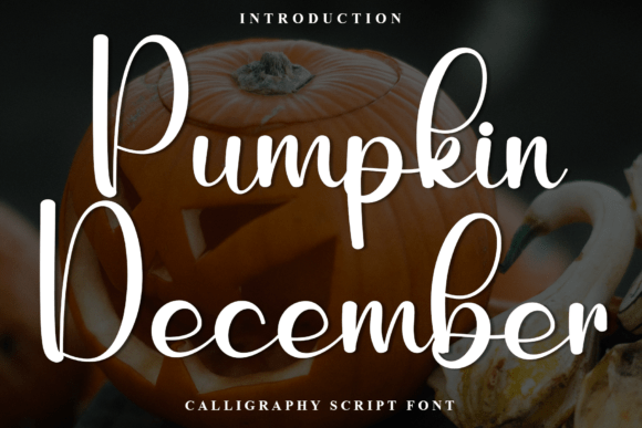 Pumpkin December: A Modern Script Typeface for Editors